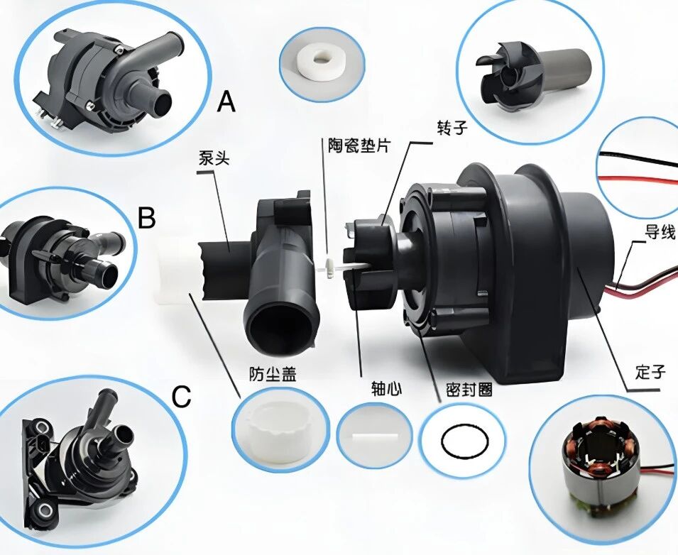 汽车电子水泵转子详解